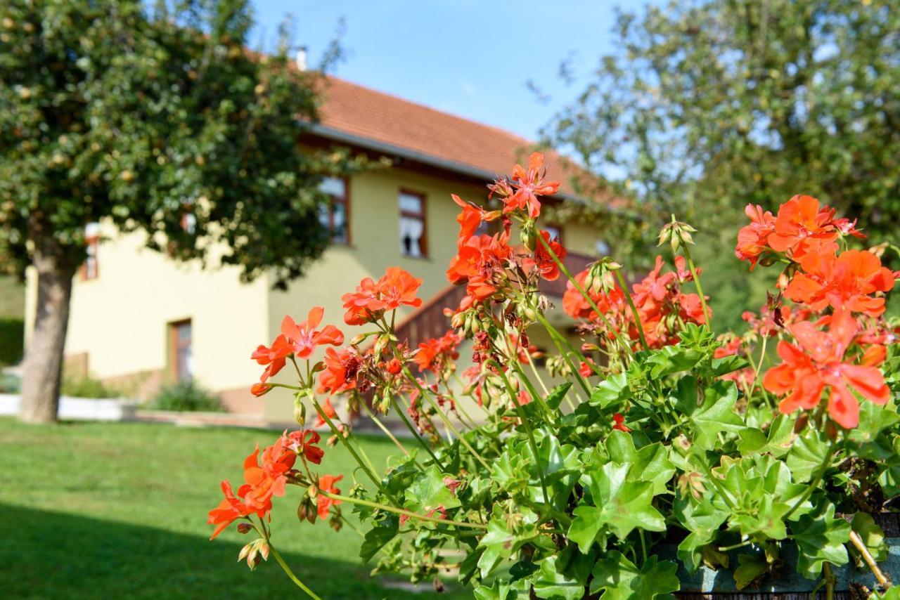 Ruralna Kuca 'Villa Zagorka' Za Odmor Sa Bazenom I Bocalistem Donja Pacetina Zewnętrze zdjęcie